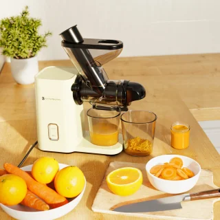 KitchenBrothers Slowjuicer Mini Juicer