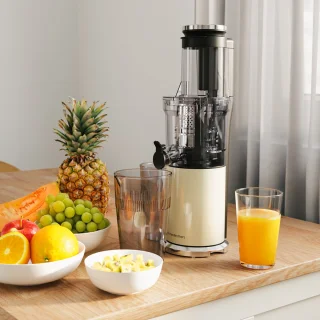 KitchenBrothers Slowjuicer Verticaal Champagne