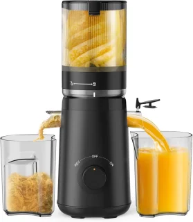 Koudpers Slowjuicer