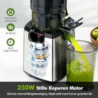 Langzame juicer