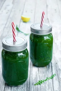 Langzame sapcentrifuge (Slow Juicer) 240W