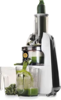 Langzame sapcentrifuge (Slow Juicer) 240W