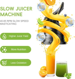 low Juicer Slow Masticating Juicer