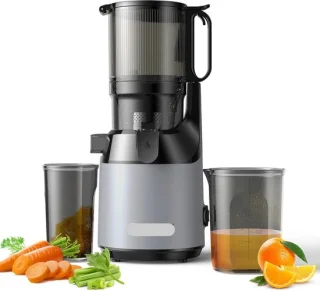 low Juicer Slow Masticating Juicer