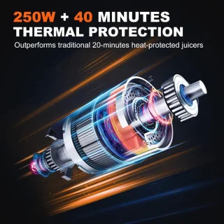 Masticating Slow Juicer