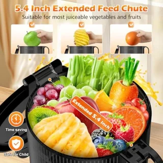 Masticerende Koude Pers Juicer