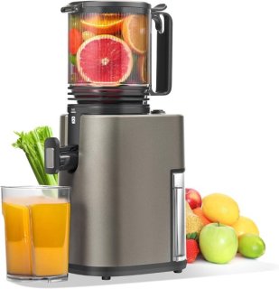 Ontsapper Sapcentrifuge 2 L — Krachtige slowjuicer met grote vulopening