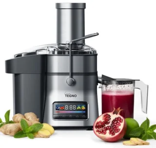 Professionele RVS-juicer