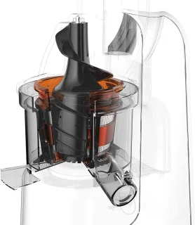 Professionele slowjuicer (sapcentrifuge)