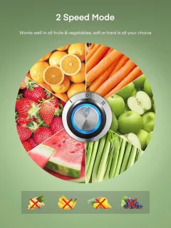 Roestvrijstalen Groente- en Fruitjuicer