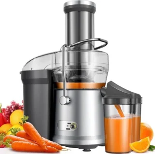 RONN® Sapcentrifuge Slowjuicer Zilver