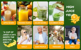 Royalty Line PJ7611 Sapcentrifuge 600W RVS/Zwart