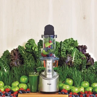 Sage Big Squeeze Slowjuicer