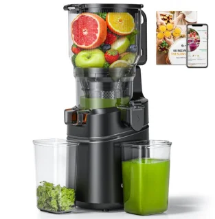 Sapcentrifuge 250W slowjuicer met koude persing