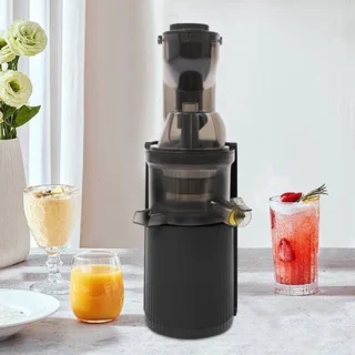 Sapcentrifuge elektrische 800 W slow juicer