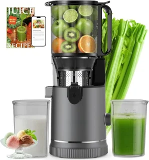 Sapcentrifuge Slow Juicer 400 W - ShopVlot