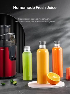 Sapcentrifuge voor groenten en fruit