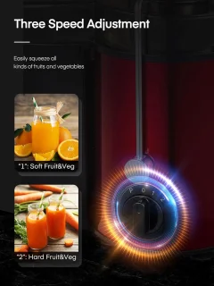 Sapcentrifuge voor groenten en fruit