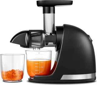 Sapmachine Slow Juicer Mat Zwart BPA-vrij met 2 Bekers