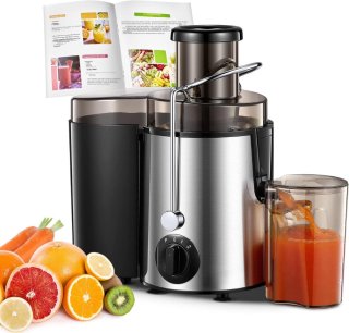 De SCH® Sapcentrifuge Slowjuicer Zilver in één oogopslag