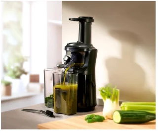 Silvercrest Slowjuicer 300 W
