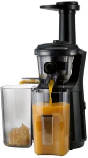 Silvercrest Slowjuicer 300 W