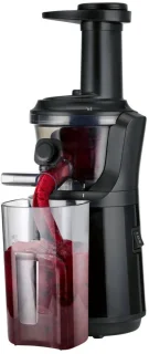 Silvercrest Slowjuicer 300 W