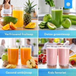 Silvergear Slowjuicer XL 1000ml Zwart