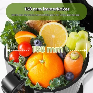 Slow juicer 158 mm, 2 filters, 300 W