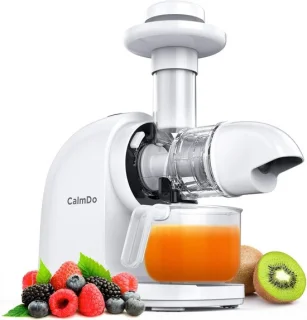 Slow Juicer BPA-vrij professioneel sapcentrifuge wit kunststof