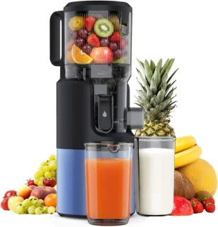 Slow juicer