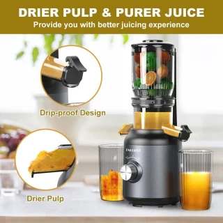 Slow Juicer - Masticating Juicer