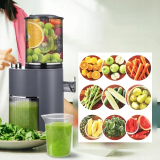 Slow Juicer - Masticerende Koudpers Sapmachine