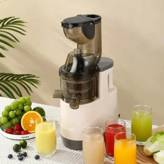 Slow Juicer Sapcentrifuge