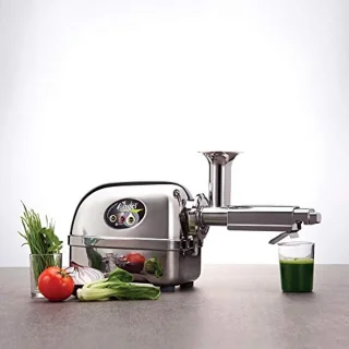 Slow Juicer Sapcentrifuge