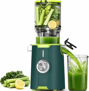 Slow Juicer sapcentrifuge groen
