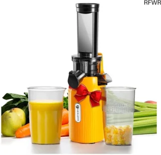 Slow juicer