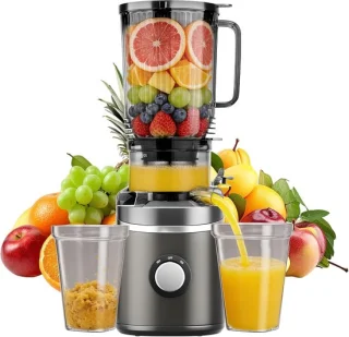 Slow juicer