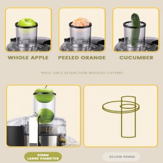 Slowjuicer 1000W Professioneel BPA-vrij RVS Sapcentrifuge