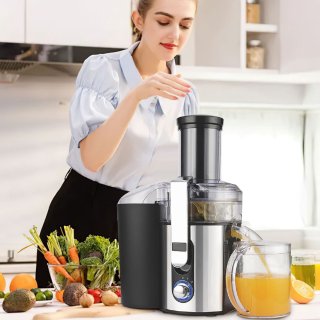 Slowjuicer 1000W Professioneel BPA-vrij RVS Sapcentrifuge