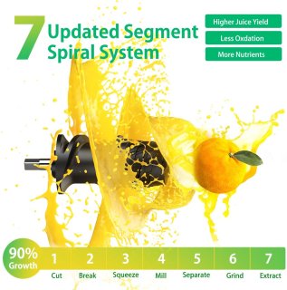 Slowjuicer 150W met 450ml Pulpcontainer