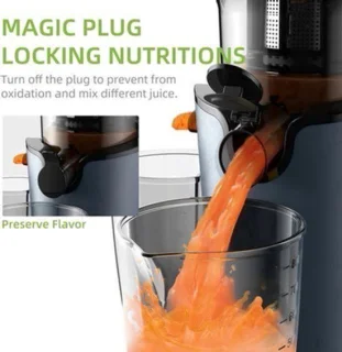 Slowjuicer 200W voor hele vruchten