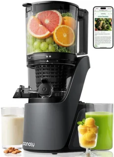 Slowjuicer 250W koude persing grijs