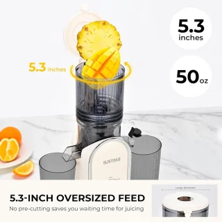 Slowjuicer 300W
