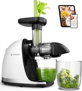 Slowjuicer