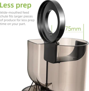 Slowjuicer 500ML 200W Zwart Met IJsfilter