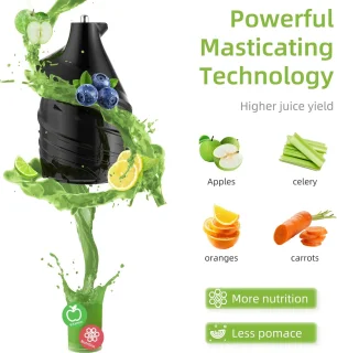 Slowjuicer 500ML 200W Zwart Met IJsfilter