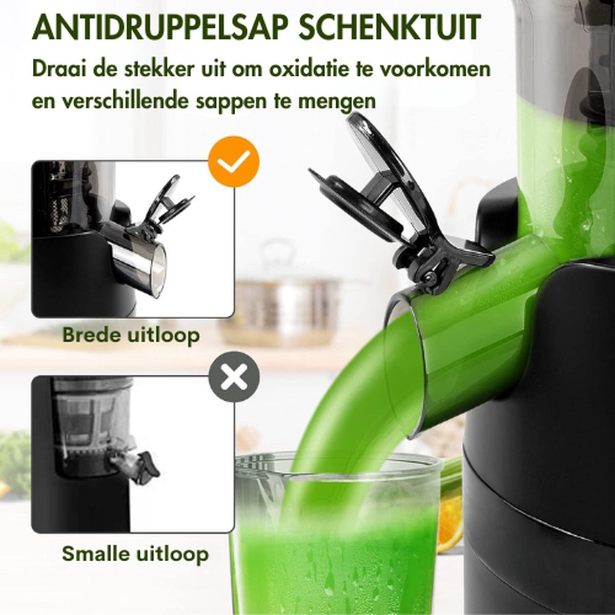 Slowjuicer 600 ml 200W met brede invoertrechter en reinigingsborstel