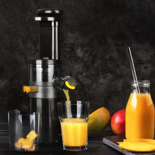 Slowjuicer 80W