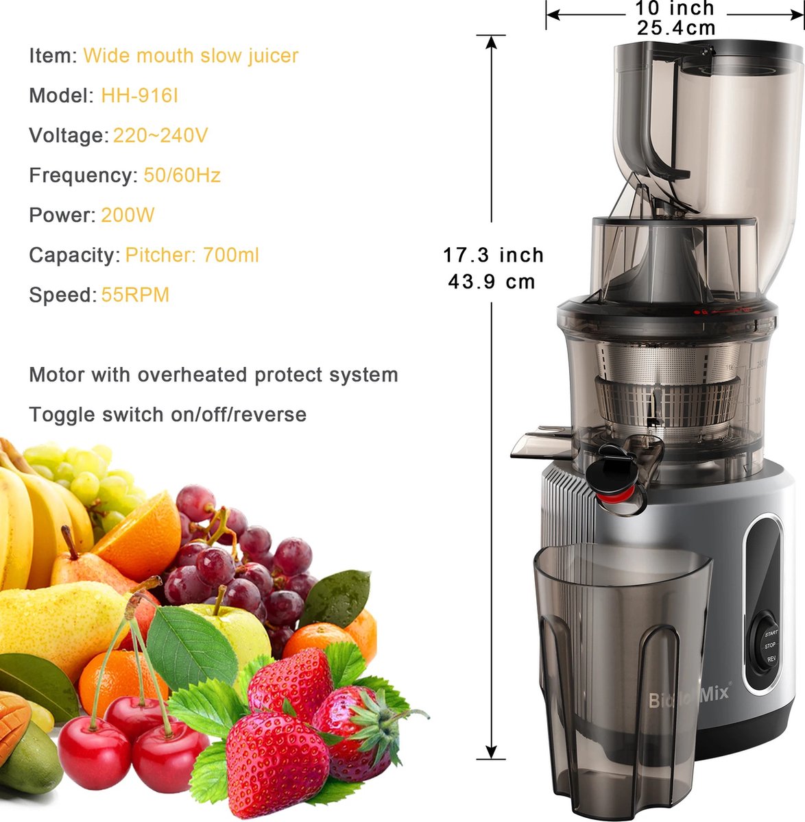 Slowjuicer Elektrisch Groenten en Fruit Blender Sapcentrifuge